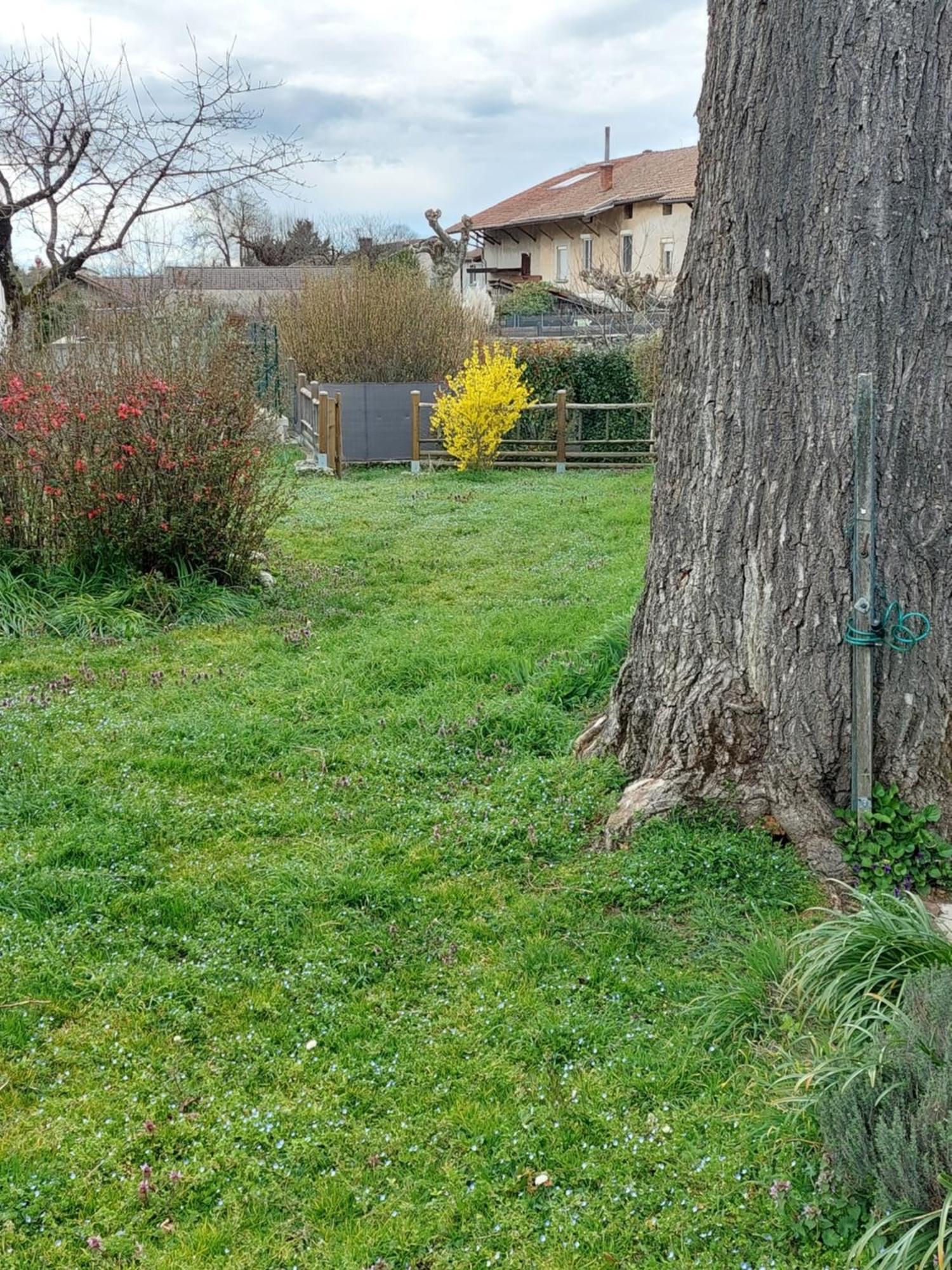 Les Copains D'Abord Villa Beaucroissant Eksteriør bilde